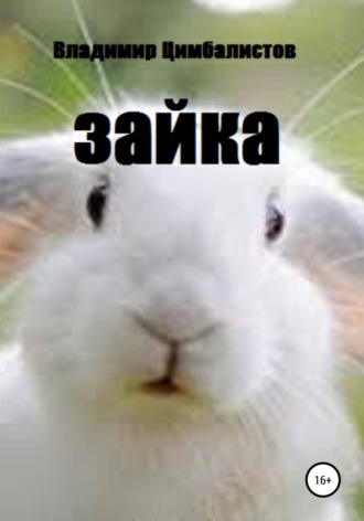 Обложка книги «Зайка»