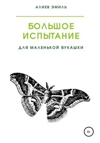 Обложка книги «Большое испытание для маленькой букашки»