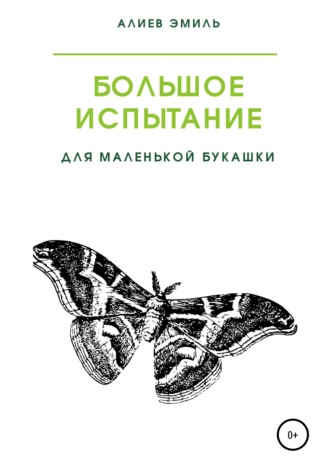 Эмиль Алиев. Большое испытание для маленькой букашки