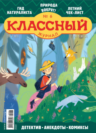 Обложка книги «Классный журнал №06/2022»