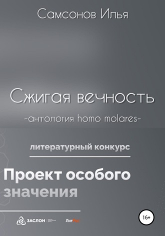 Обложка книги «Сжигая вечность»