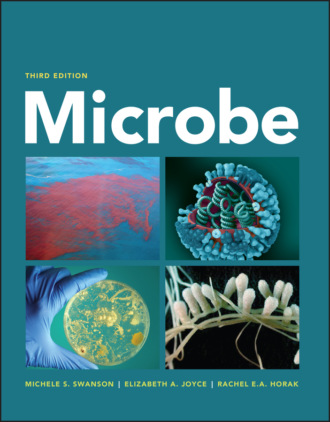 Michele S. Swanson. Microbe