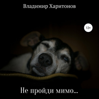 Обложка книги «Не пройди мимо…»
