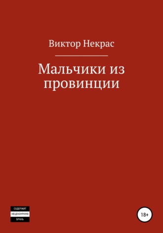 Обложка книги «Мальчики из провинции»