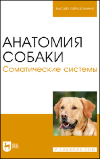 Н. В. Бабичев. Анатомия собаки. Соматические системы. Учебник для вузов