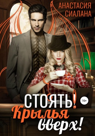 Обложка книги «Стоять! Крылья вверх!»