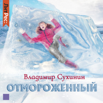 Обложка книги «Отмороженный»