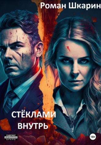 Роман Шкарин. Стёклами внутрь