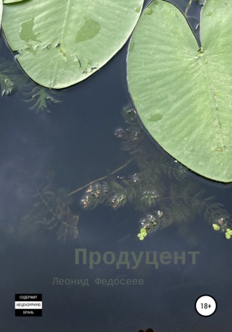Обложка книги «Продуцент»