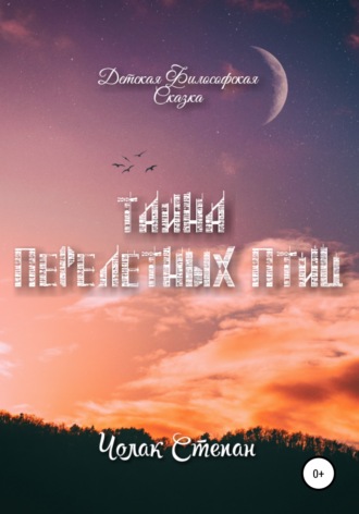 Обложка книги «Тайна Перелётных Птиц»