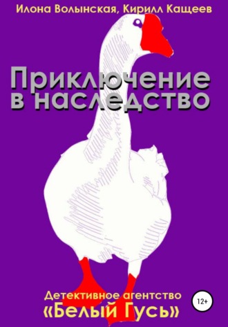 Обложка книги «Приключение в наследство»