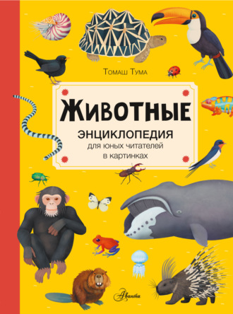 Обложка книги «Животные»