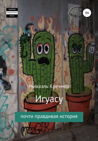 Обложка книги «Игуасу»