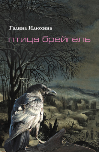 Обложка книги «Птица Брейгель»