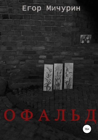 Обложка книги «Офальд»