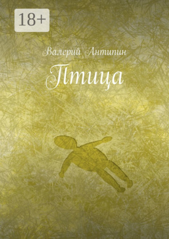 Обложка книги «Птица»