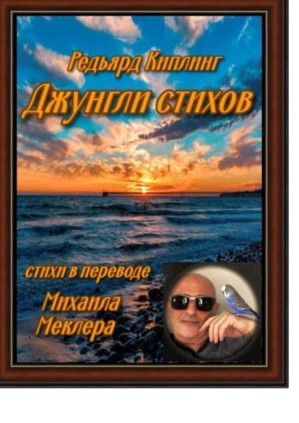 Обложка книги «Джунгли стихов»