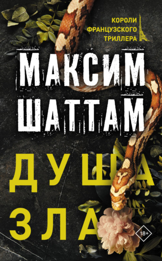 Обложка книги «Душа зла»