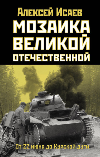 Обложка книги «Мозаика Великой Отечественной. От 22 июня до Курской дуги»
