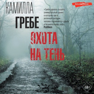 Обложка книги «Охота на тень»