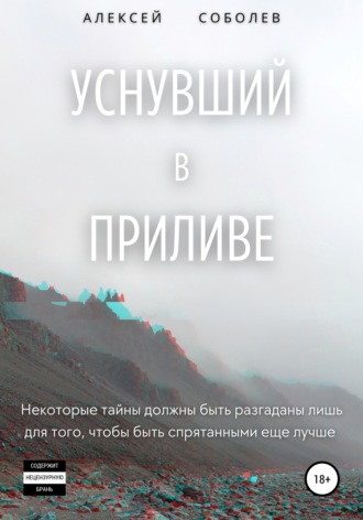 Обложка книги «Уснувший в приливе»