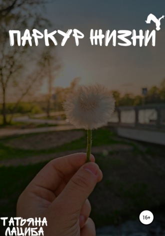 Обложка книги «Паркур жизни»