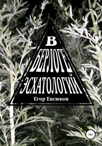 Обложка книги «В берлоге эсхатологий»