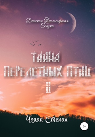 Обложка книги «Тайна перелётных птиц 2»