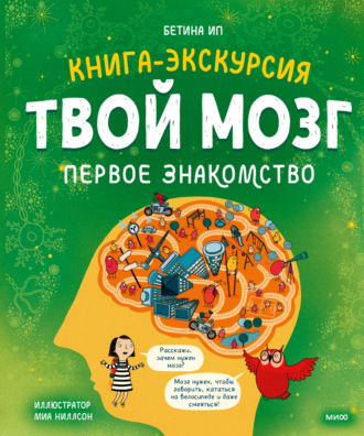 Обложка книги «Твой мозг. Книга-экскурсия. Первое знакомство»