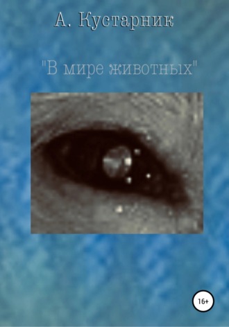 Обложка книги «В мире животных»