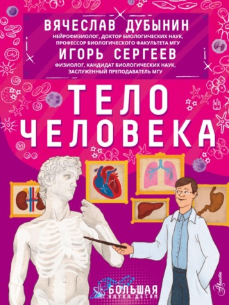 Обложка книги «Тело человека»
