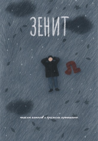 Обложка книги «Зенит»