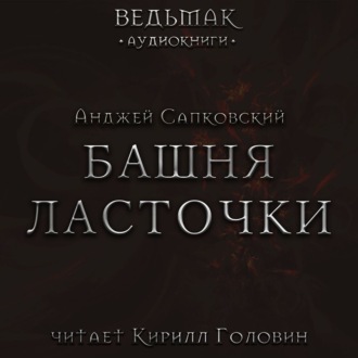 Обложка книги «Башня Ласточки»