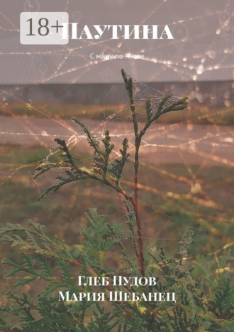 Обложка книги «Паутина. С миру по нитке»