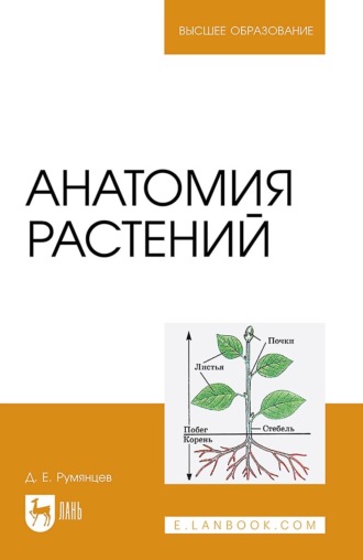 Д. Е. Румянцев. Анатомия растений. Учебное пособие для вузов