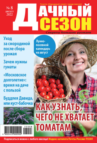 Обложка книги «Дачный сезон №08/2022»