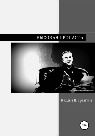 Вадим Юрьевич Шарыгин. Высокая пропасть