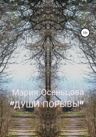 Обложка книги «Души порывы»