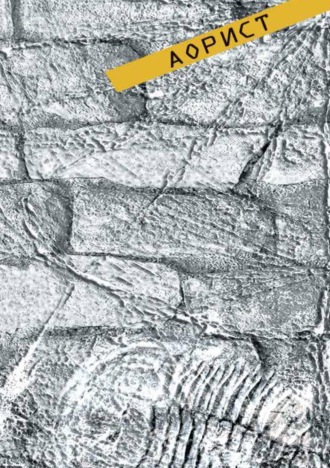Обложка книги «Аорист»