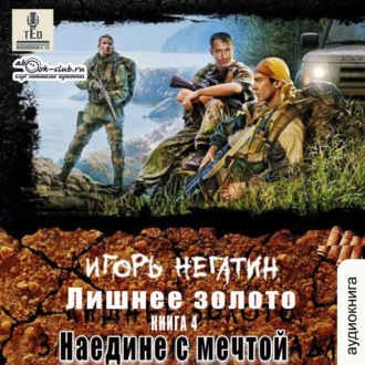 Обложка книги «Лишнее золото. Наедине с мечтой»