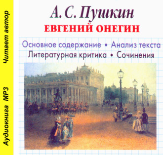 Обложка книги «А. С. Пушкин «Евгений Онегин». Биографические сведения. Краткое содержание. Анализ текста. Примеры сочинений»