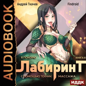 Обложка книги «Я покорю Лабиринт с помощью техник массажа. Книга 3»