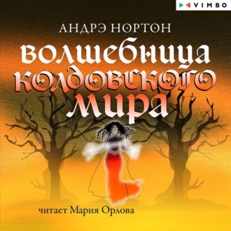 Обложка книги «Волшебница Колдовского мира»