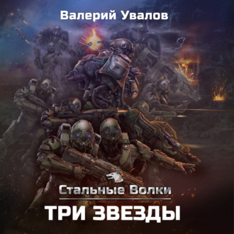 Обложка книги «Стальные Волки. Три Звезды»