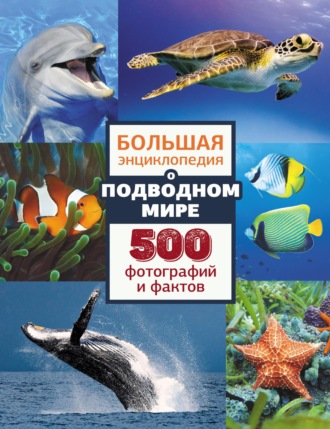 Обложка книги «Большая энциклопедия о подводном мире. 500 фотографий и фактов»