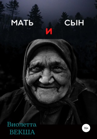 Обложка книги «Мать и сын»
