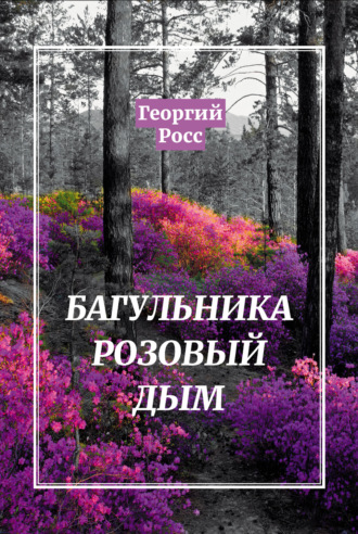 Обложка книги «Багульника розовый дым»