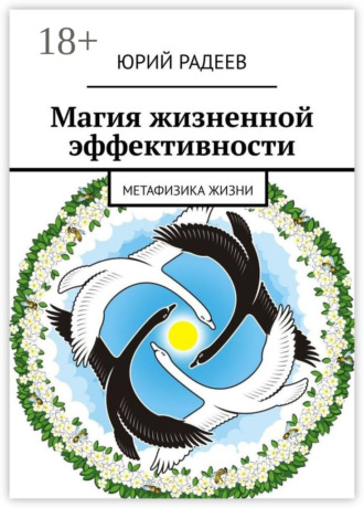 Обложка книги «Магия жизненной эффективности. Метафизика жизни»