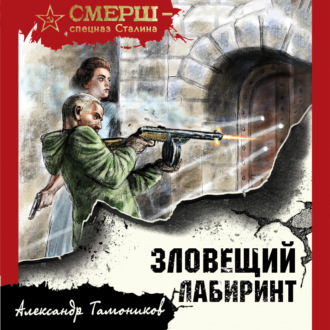 Обложка книги «Зловещий лабиринт»