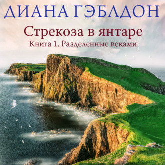 Обложка книги «Стрекоза в янтаре. Книга 1. Разделенные веками»